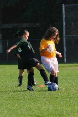 243_4350f.jpg