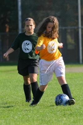 243_4351f.jpg