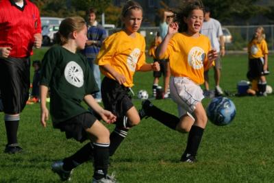 243_4356f.jpg