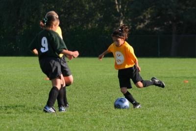243_4364f.jpg