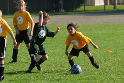 243_4380f.jpg