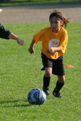 243_4381f.jpg