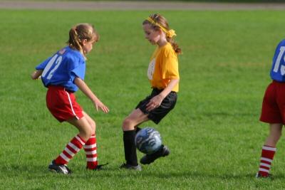 247_4790f.jpg