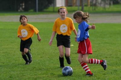 247_4798f.jpg