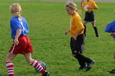 248_4822f.jpg