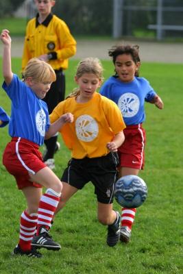 248_4830f.jpg