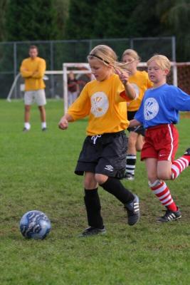 248_4847f.jpg