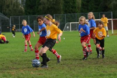 248_4850f.jpg
