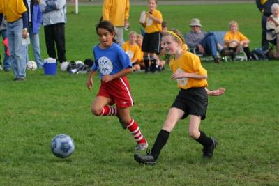 248_4864f.jpg