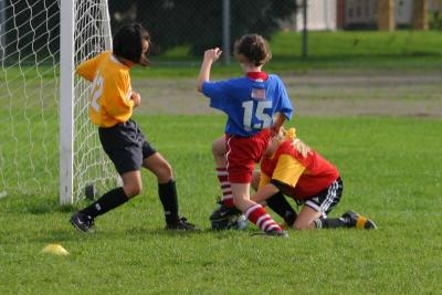 248_4866f.jpg