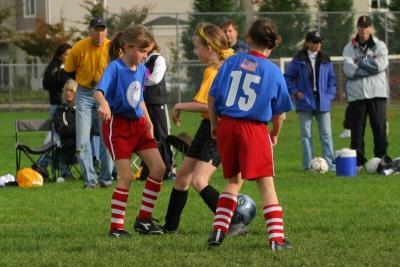 248_4880f.jpg