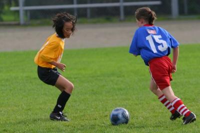 248_4890f.jpg
