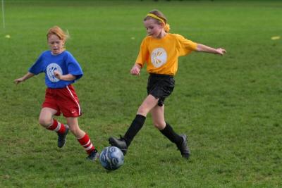 248_4900f.jpg