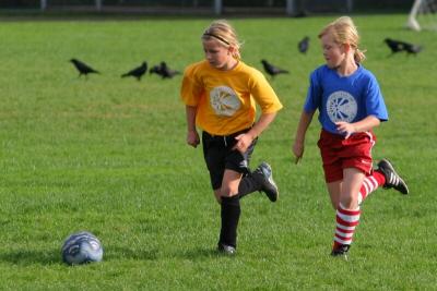 249_4930f.jpg