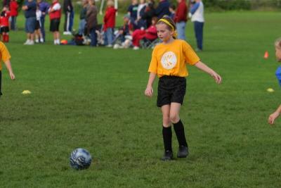249_4943f.jpg