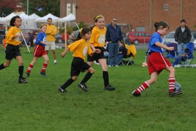 249_4950f.jpg