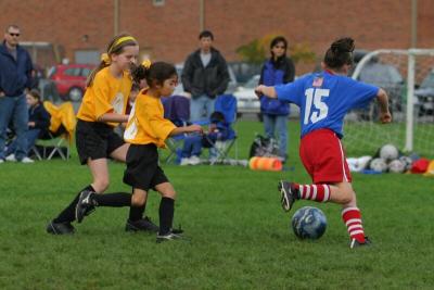 249_4951f.jpg