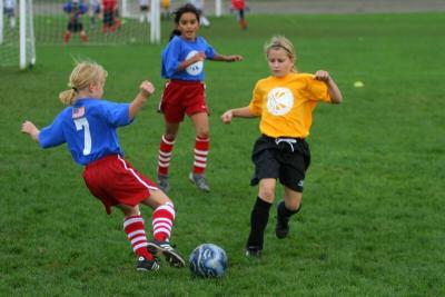 249_4987f.jpg