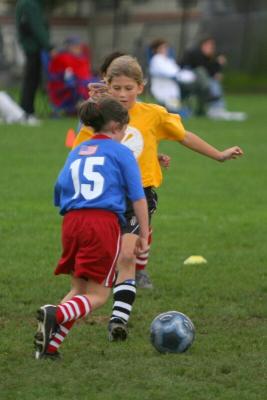 249_5000f.jpg