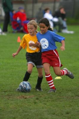 250_5002f.jpg