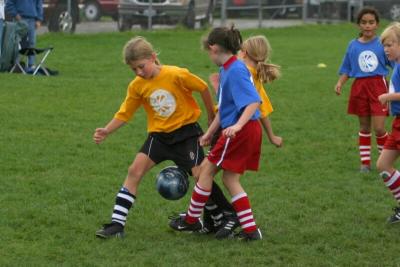 250_5009f.jpg