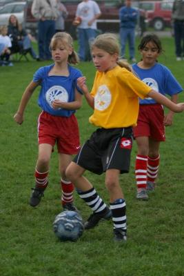 250_5016f.jpg