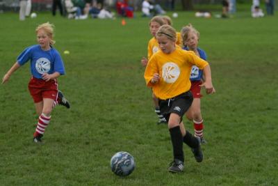 250_5017f.jpg
