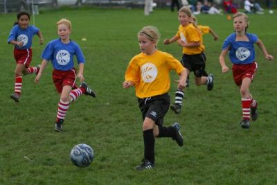 250_5018f.jpg