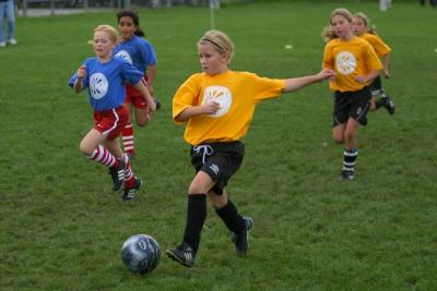 250_5019f.jpg