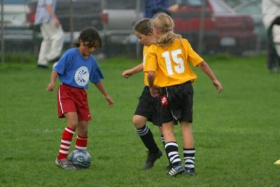 250_5030f.jpg