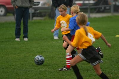 250_5037f.jpg