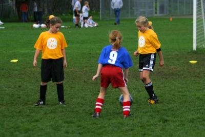 250_5044f.jpg