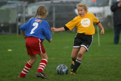 250_5078f.jpg