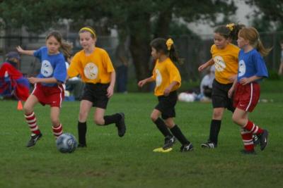 250_5083f.jpg
