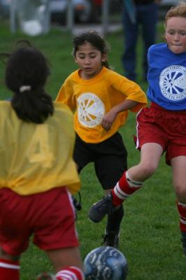 250_5089f.jpg