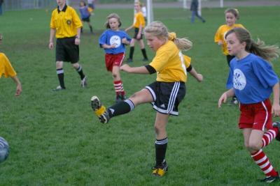 250_5095f.jpg