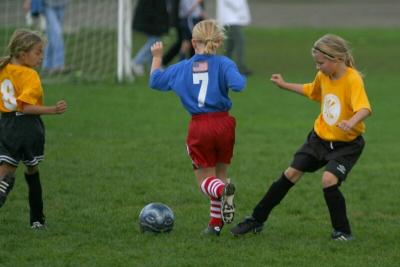 251_5108f.jpg