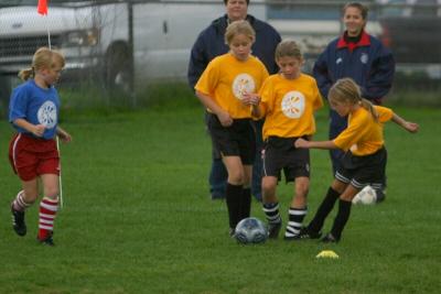 251_5110f.jpg