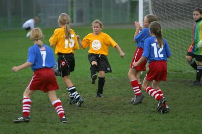 251_5114f.jpg
