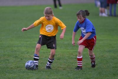 251_5115f.jpg
