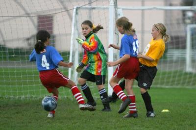 251_5117f.jpg