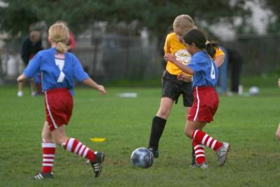 251_5118f.jpg