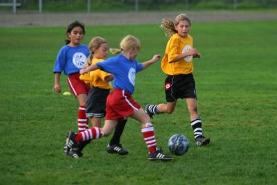 251_5131f.jpg