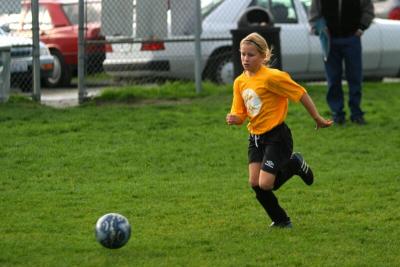 251_5136f.jpg