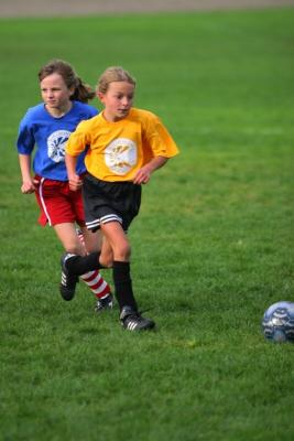 251_5144f.jpg
