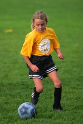 251_5145f.jpg