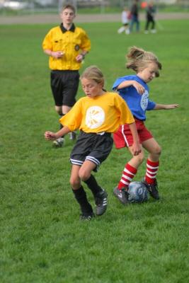 251_5147f.jpg