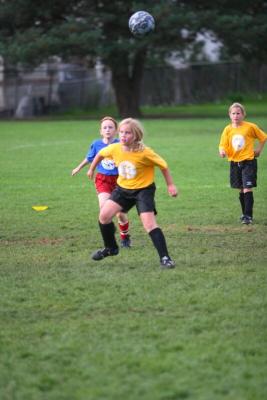 251_5154f.jpg