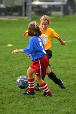 251_5157f.jpg