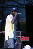 The Roots